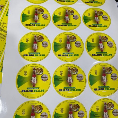 WhatsApp Image 2024-09-08 at 14.56.29 (1)