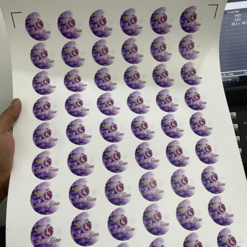 WhatsApp Image 2024-09-08 at 15.11.42